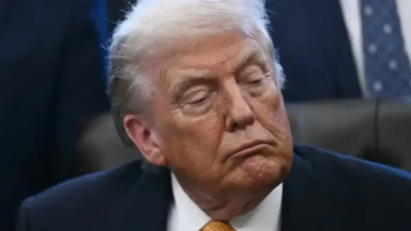 ‘Plain Stupidity’: Trump Can’t Escape Embarrassment After His Administration Humiliates Him at International Conference—and It All Fell Apart Before the Presentation Was Even Over