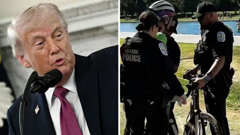 ‘So It Wasn’t Vandals?’: Trump’s Reflecting Pool Vandalism Case Against Olympian Implodes After DOJ’s Shocking Admission About What Really Caused the Damage