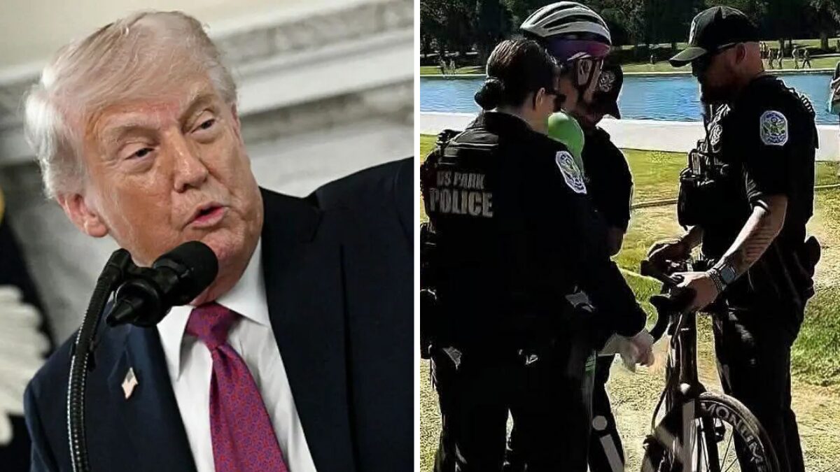 ‘So It Wasn’t Vandals?’: Trump’s Reflecting Pool Vandalism Case Against Olympian Implodes After DOJ’s Shocking Admission About What Really Caused the Damage