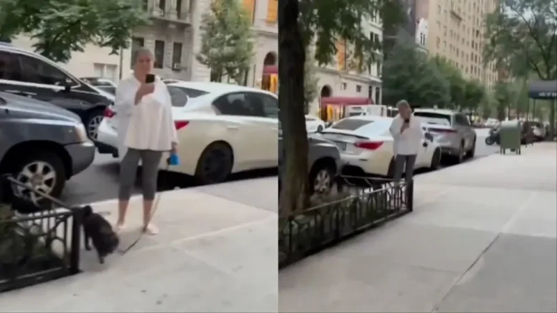 ‘Look at Him Standing There!’: Older White Woman Went from Screaming to Stalking at the Sight of a Black Resident In a Tony Manhattan Apartment Building