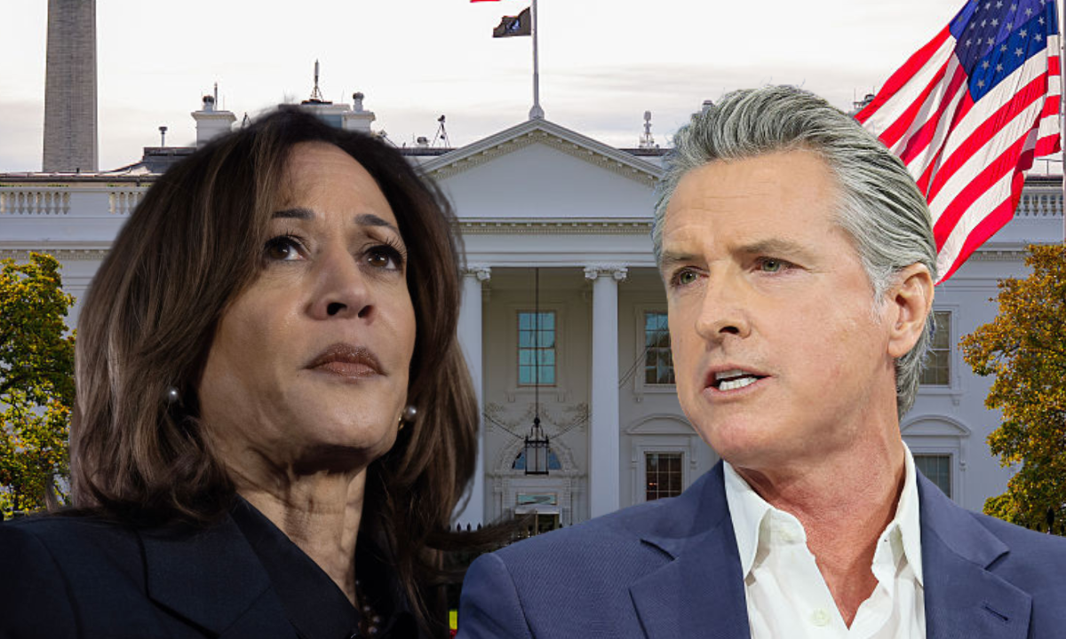 Gavin Newsom rules out 2028 presidential run if Kamala Harris enters the race