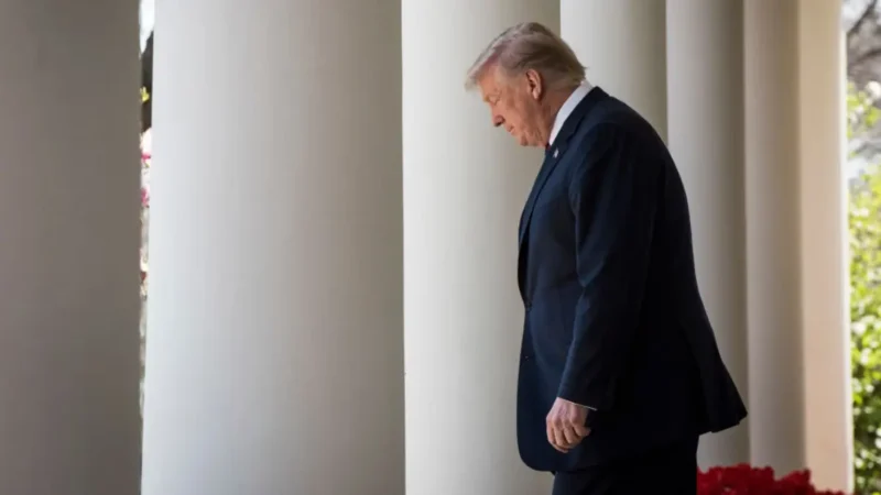 ‘Yikes’: Trump’s Rose Garden Makeover Comes Back to Bite Him as His Latest Look Exposes the Brutal Problem He Never Saw Coming